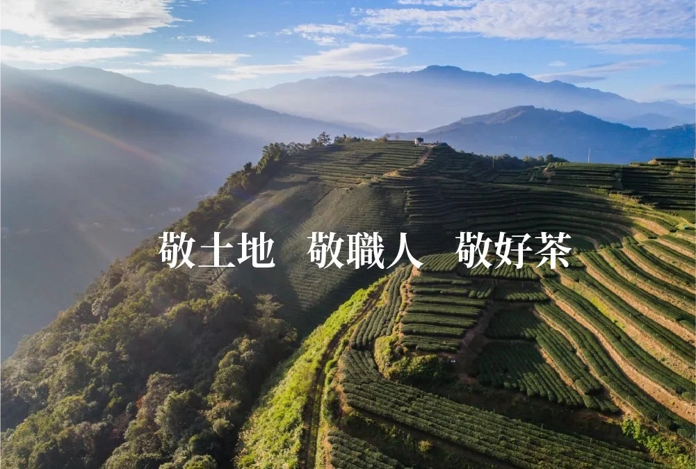 南投東眼山,茶敬茶自家茶園